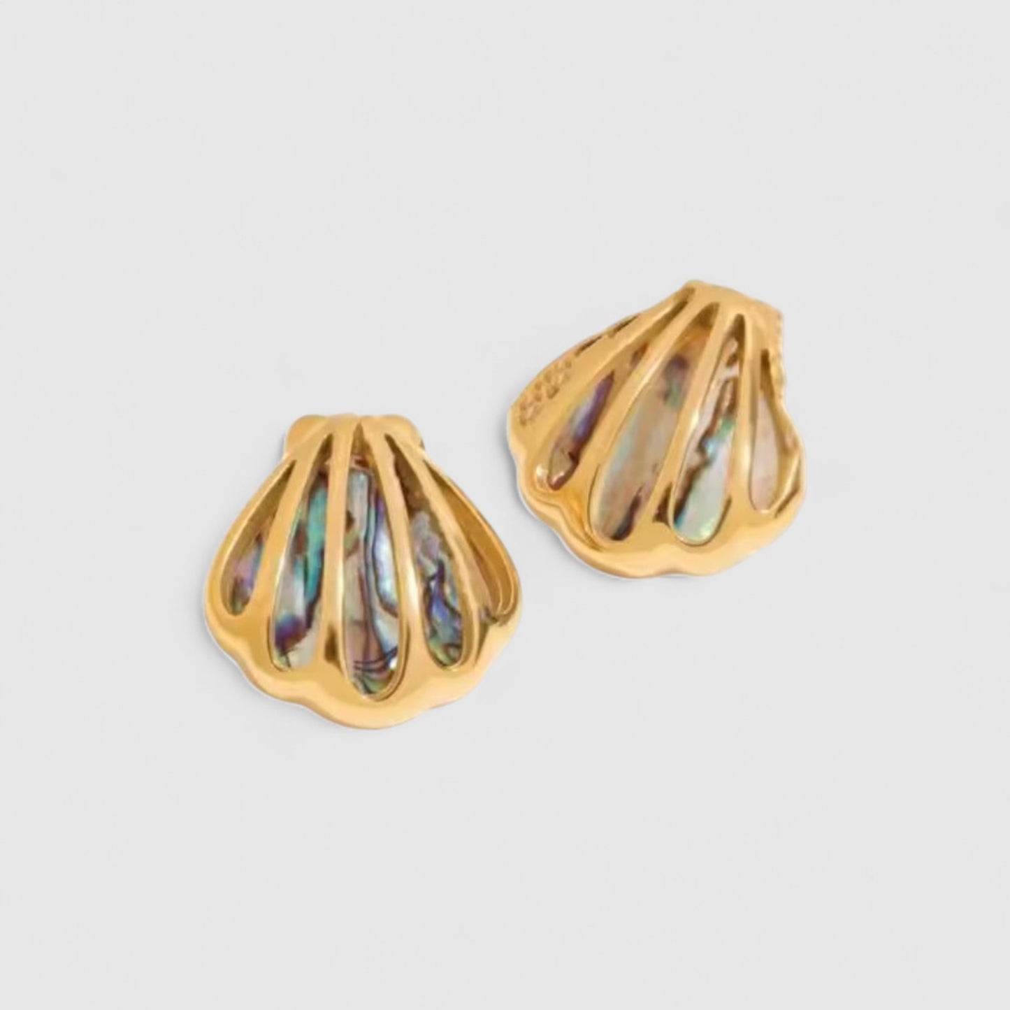 Náušnice Dream Shell